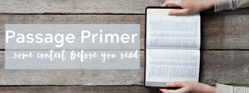 Copy of Copy of Untitled